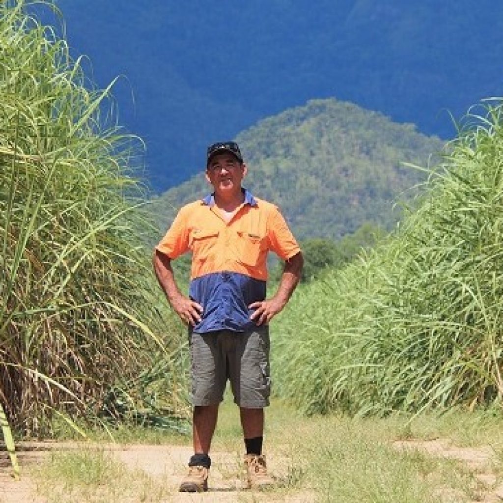 Finding the ‘sweet spot’ for fertiliser