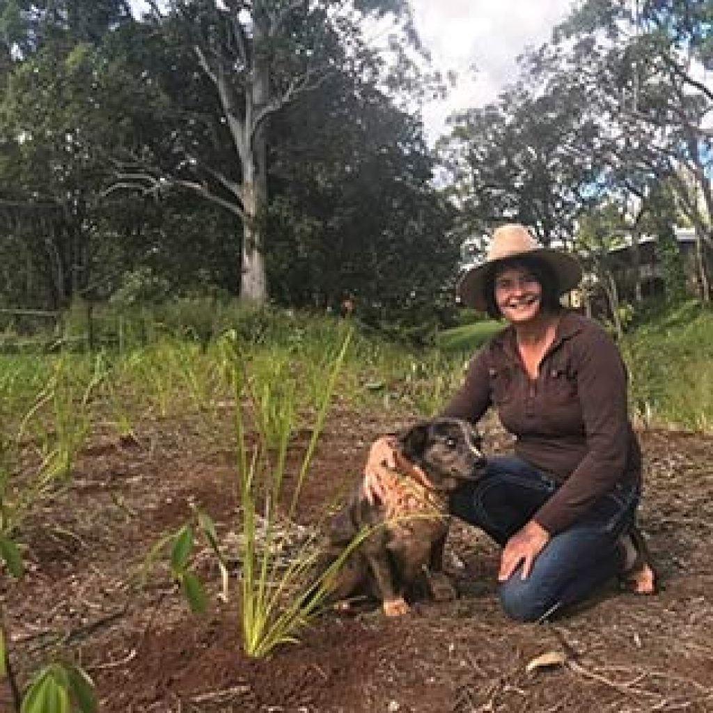 Creekside land restoration