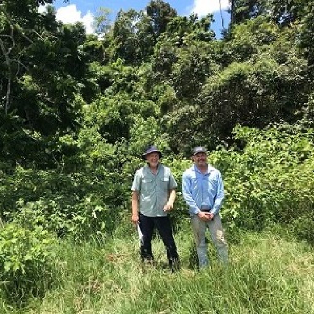 Rainforest Resilience grants