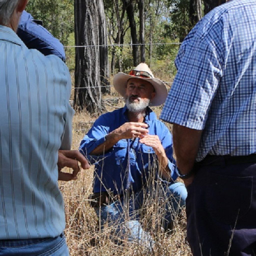 Wet Tropics graziers learn from the Burdekin
