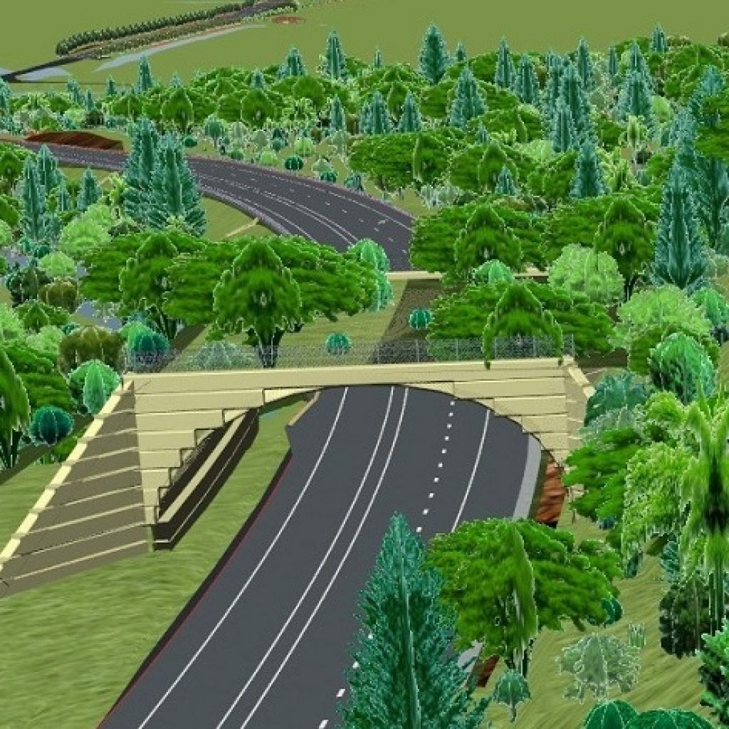 World-first cassowary land bridge