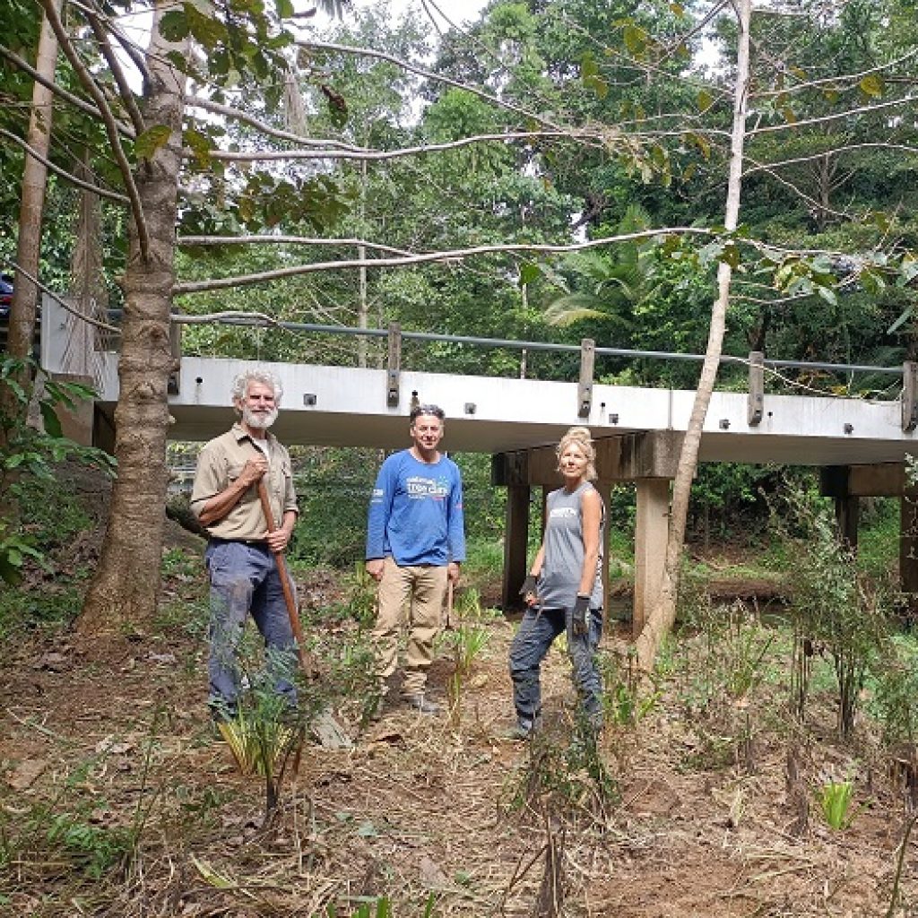 Cassowary crossings improved