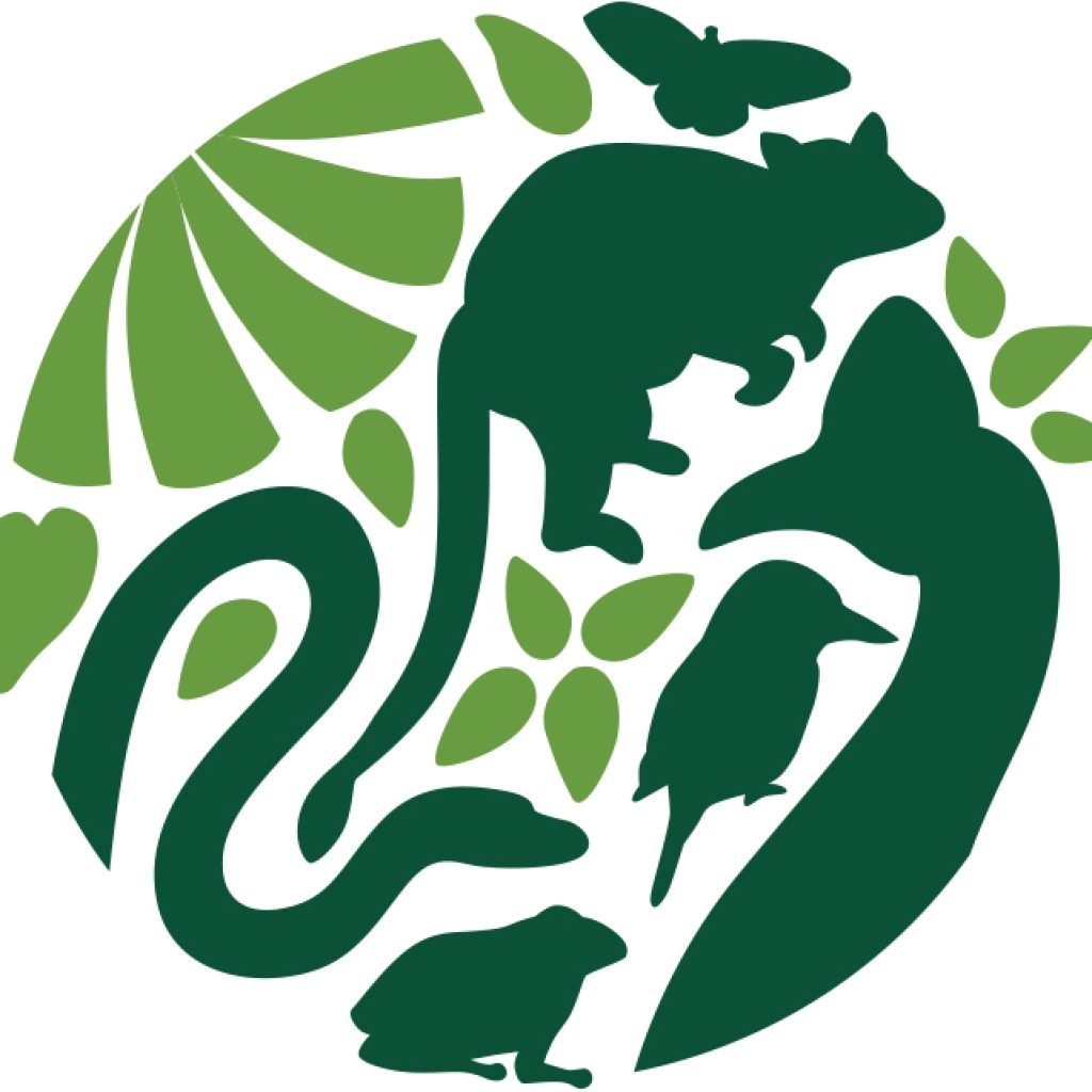 Stacking Cassowary Credits With ACCUS
