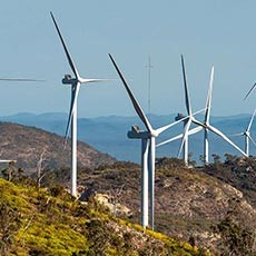 wind farm