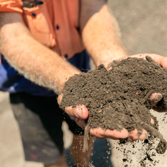 Hands holding compost
