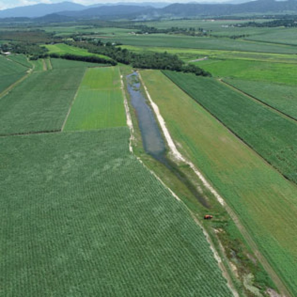 Constructed wetlands