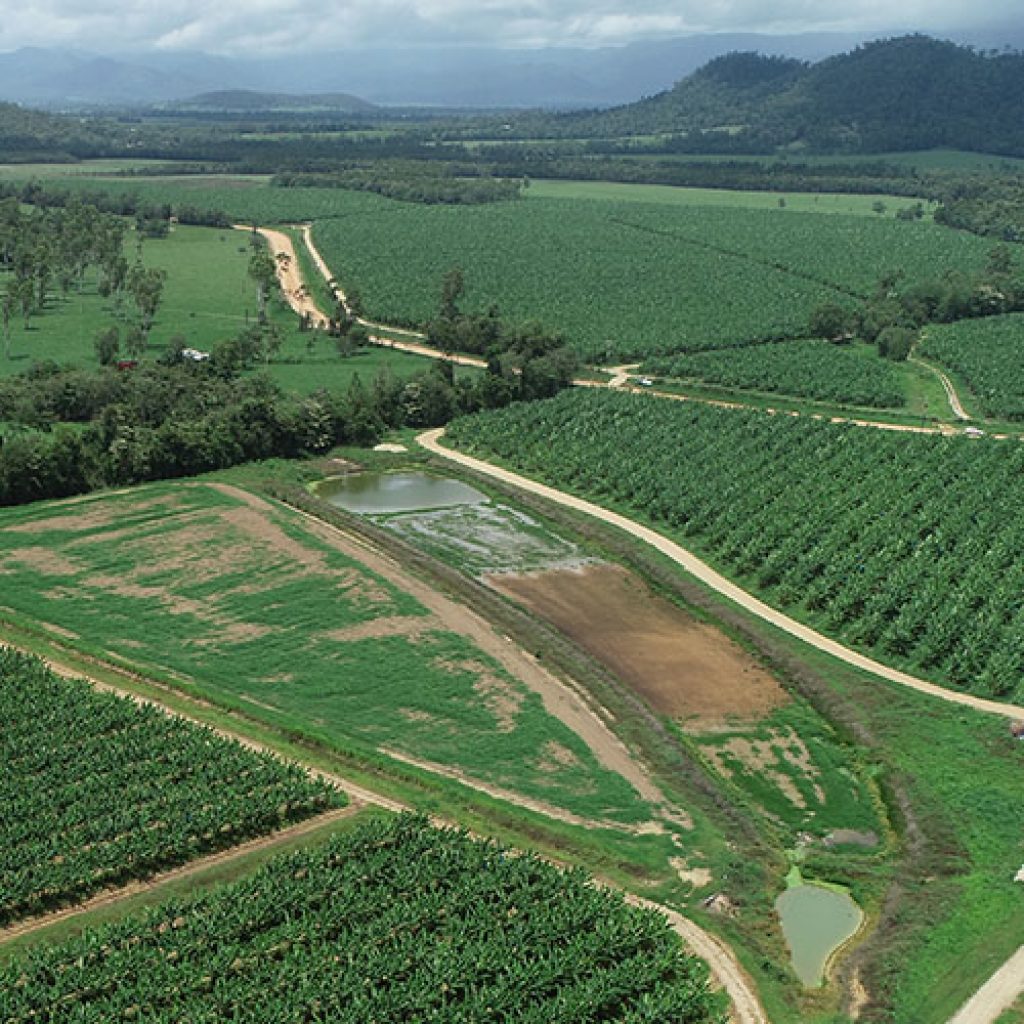 Constructed wetland trial in Tully
