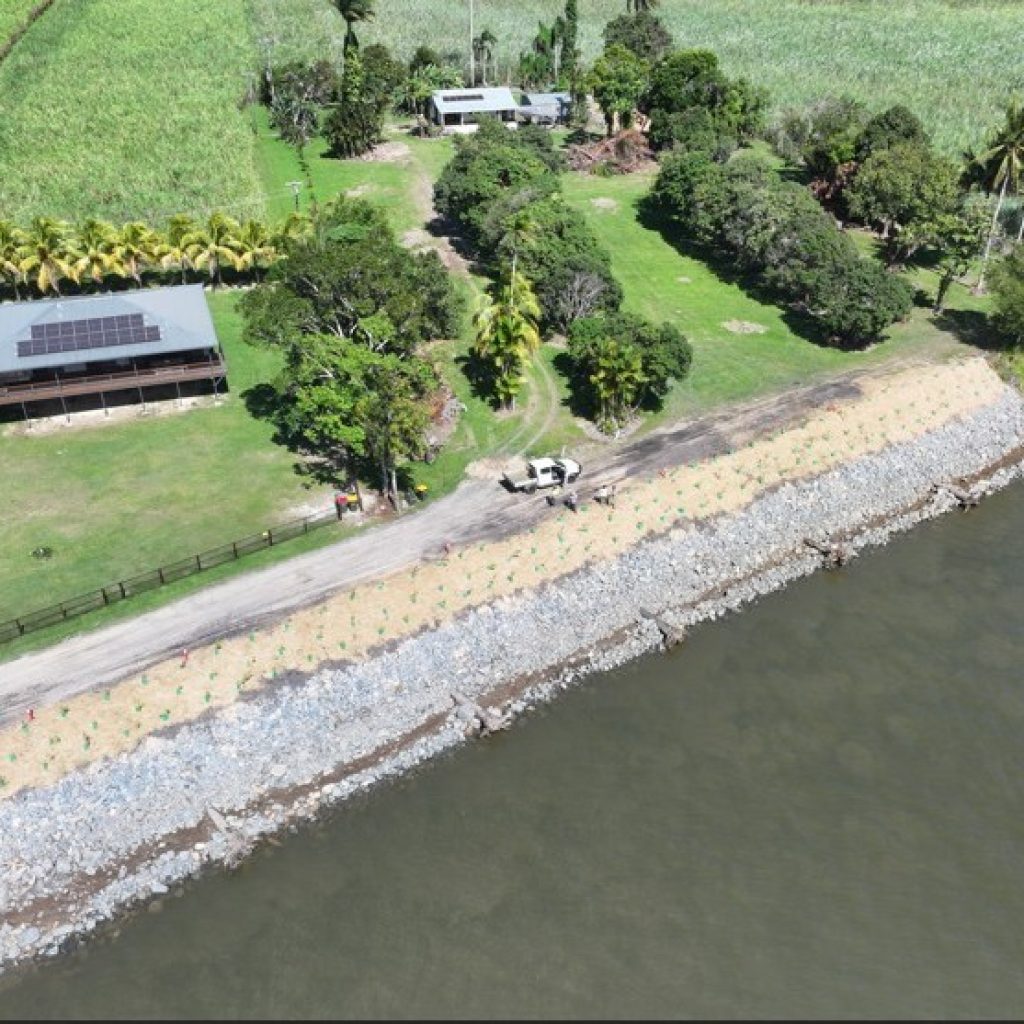 Restoring Daintree River banks