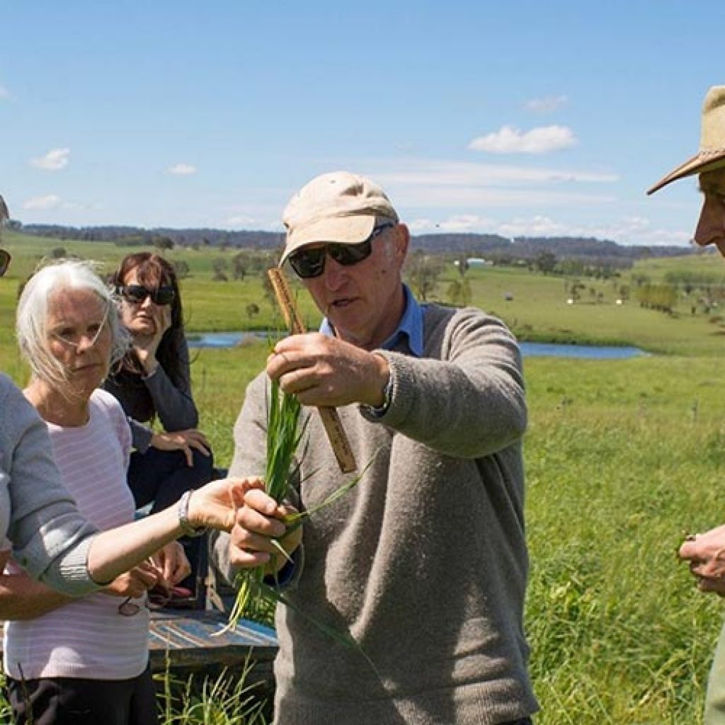 Soil Balancing Course