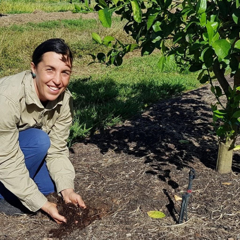 Mulch trials: Which types work best?