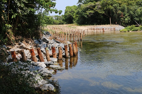 Pile fields Mossman