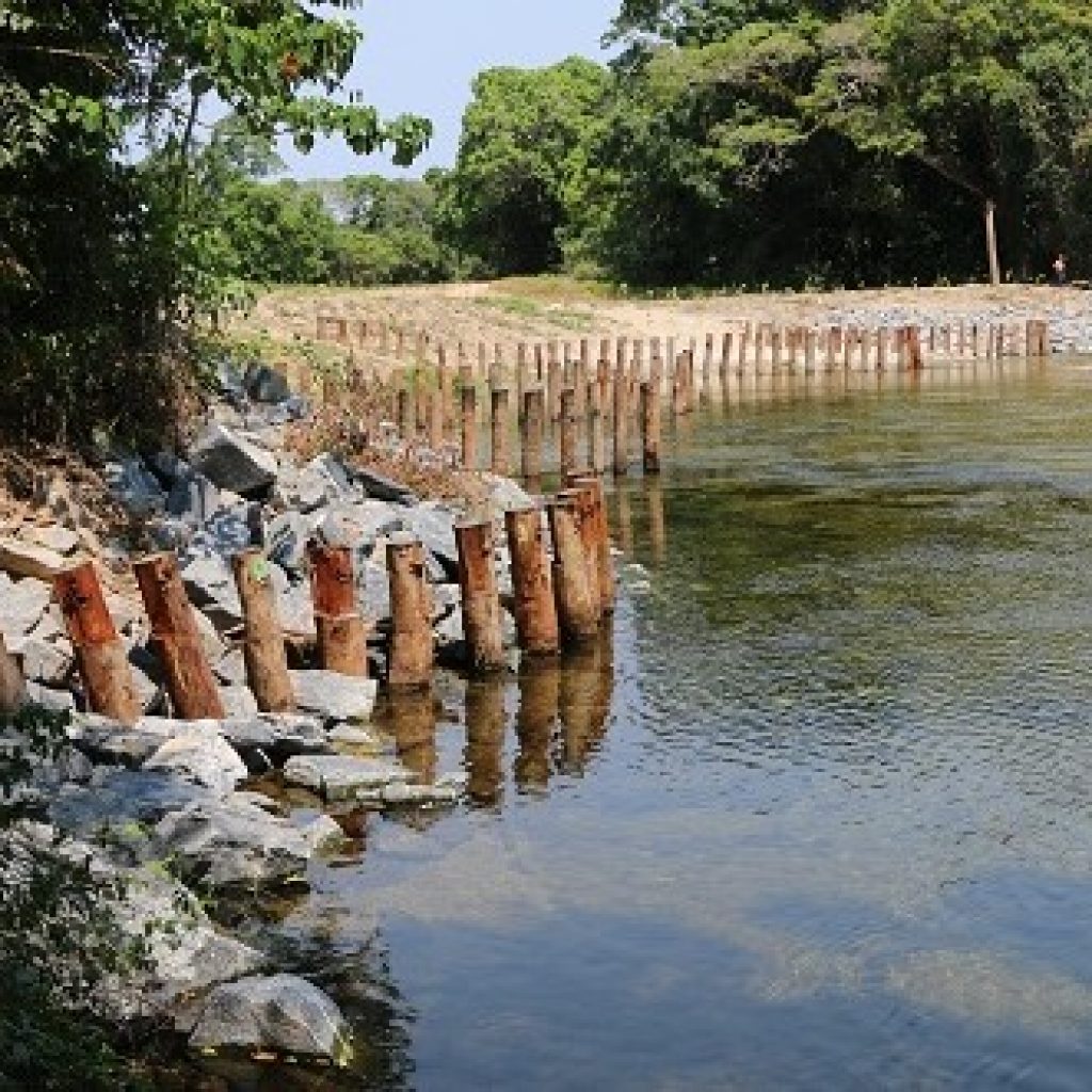 Nature-Based Solutions in Action