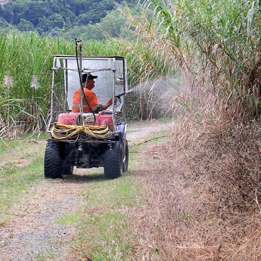 Weed control techniques for agriculture