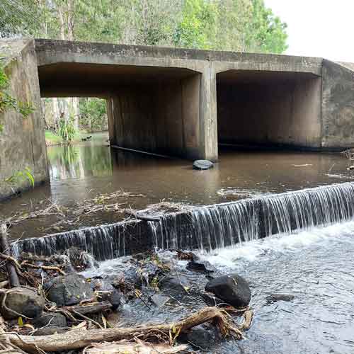 Drop creating a fish barrier