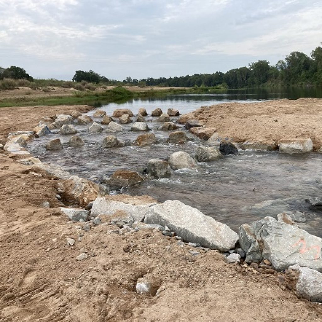 New fishways help species to breed up