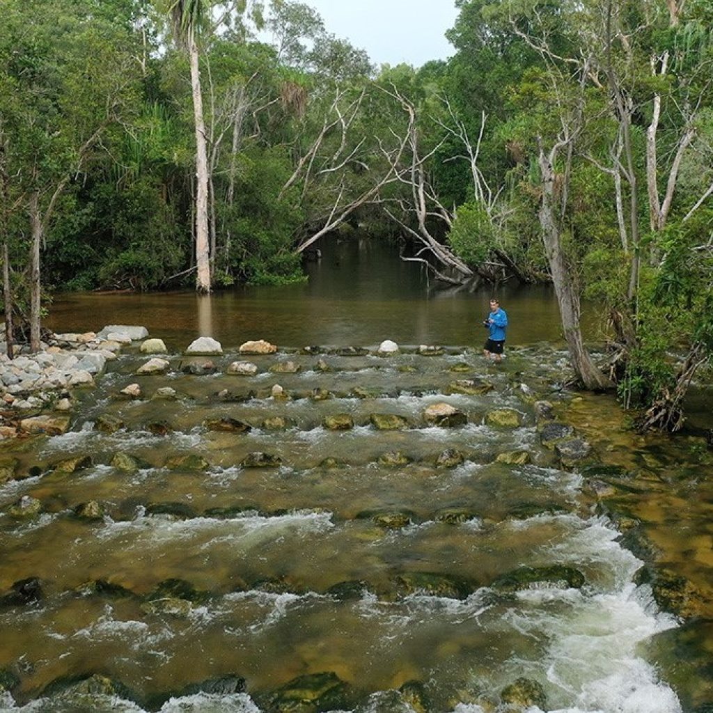New fish highways open up habitat