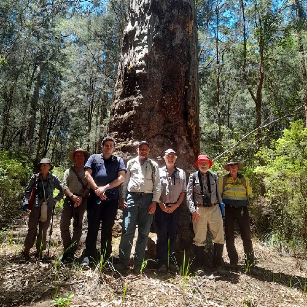 Forest resilience workshops