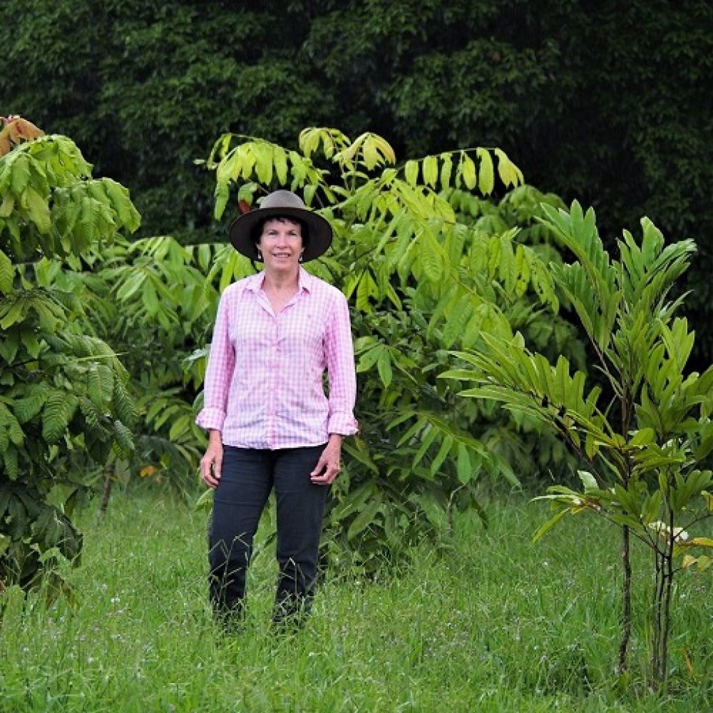 Building carbon levels in the soil