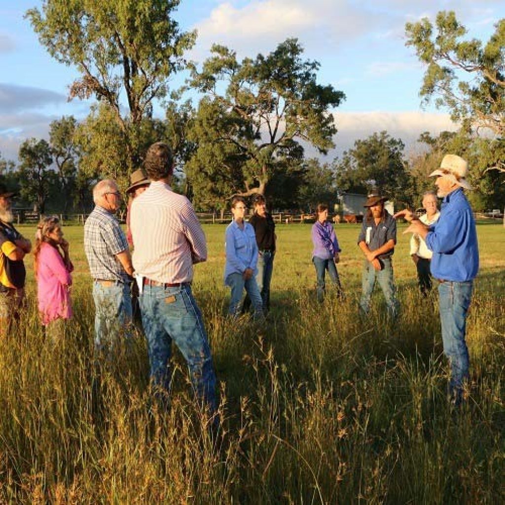 Grazing Workshops with Dick Richardson