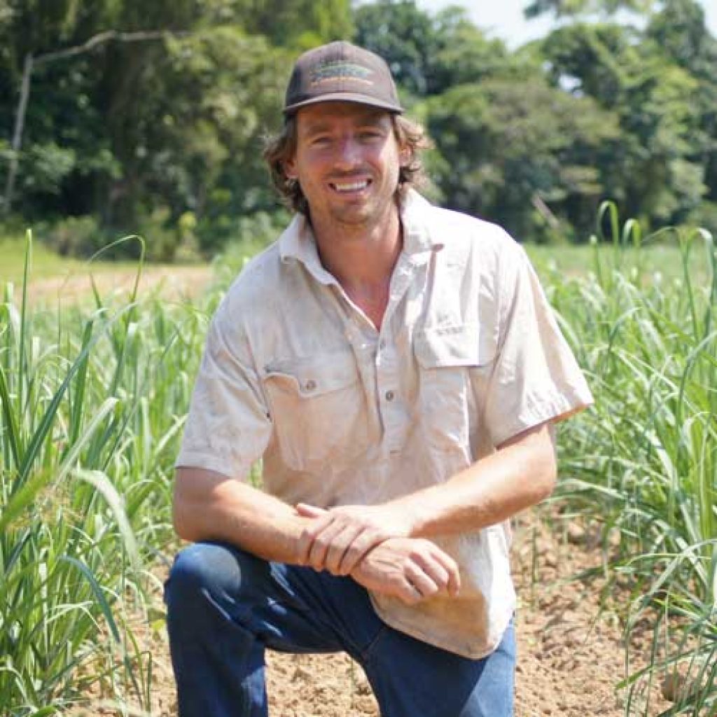 Vegetated cane drains – the “No Frills” wetlands