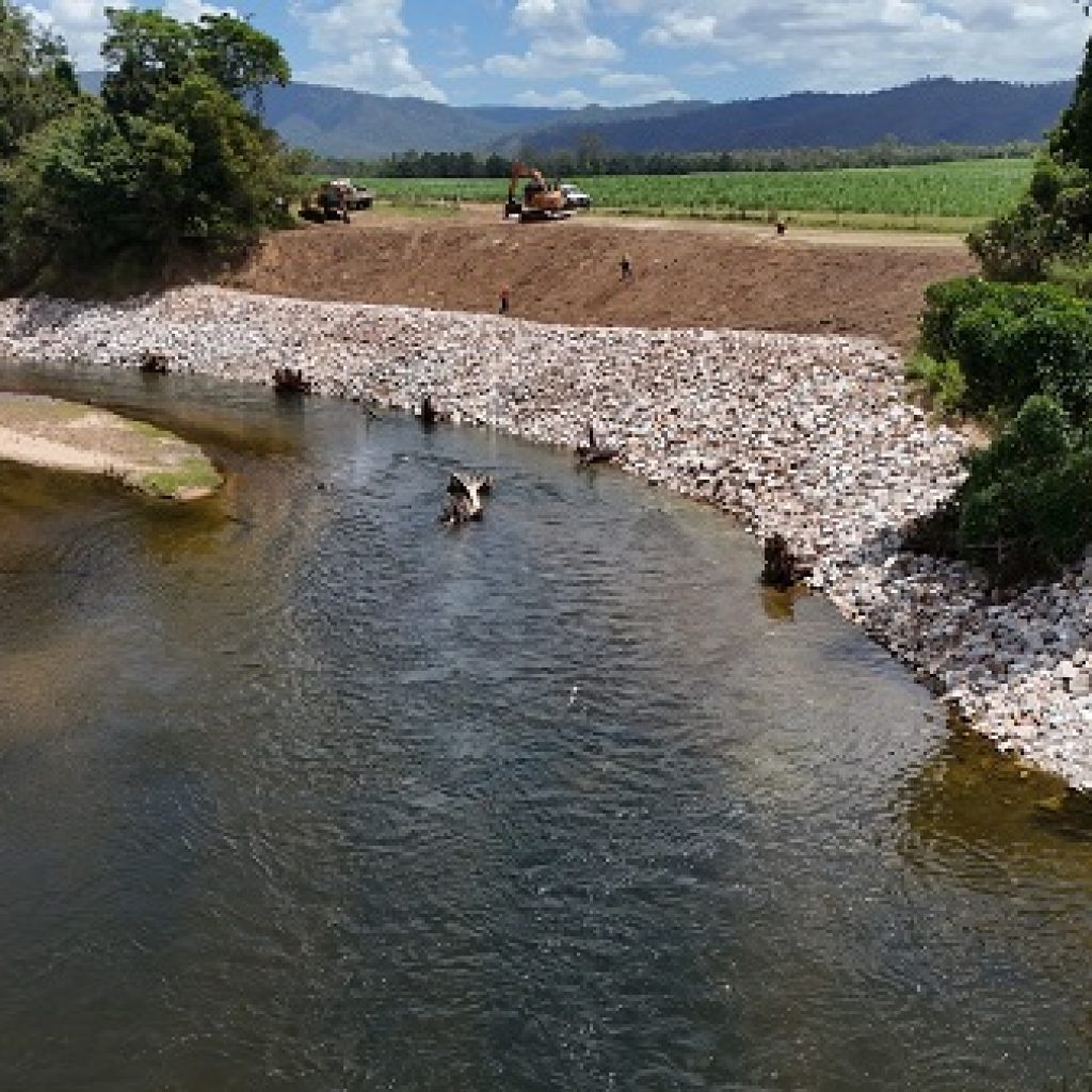 Tree rootballs part of erosion solution