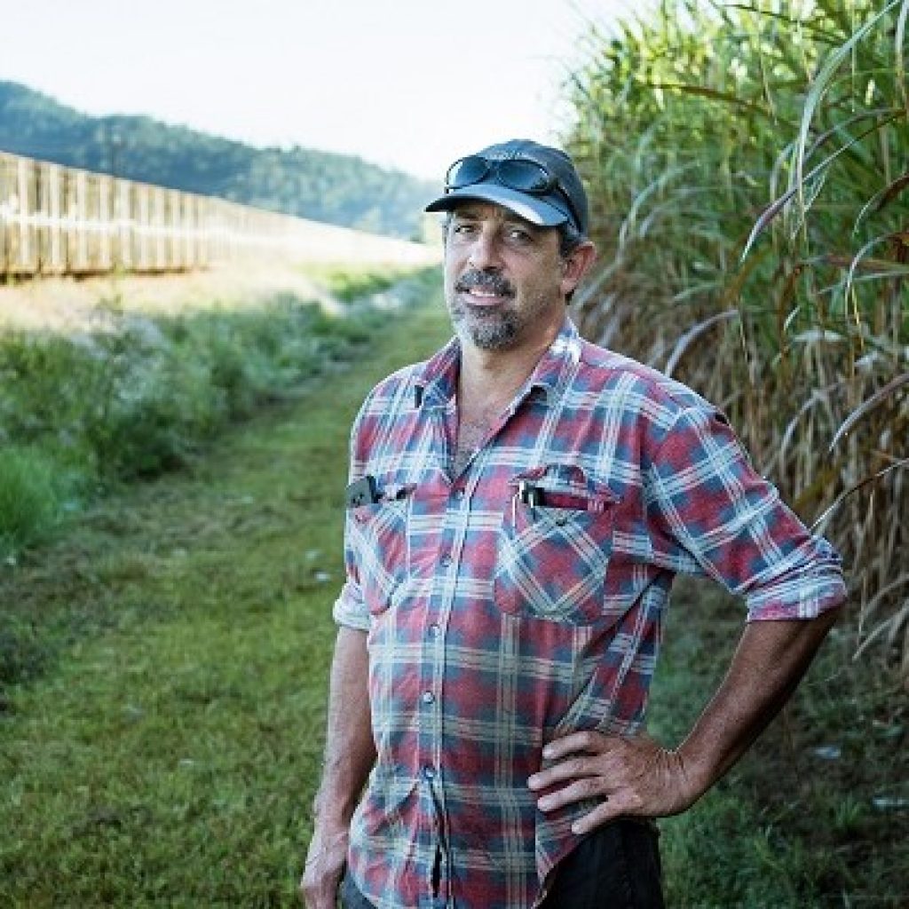 Trials test ‘sweet spot’ for fertiliser