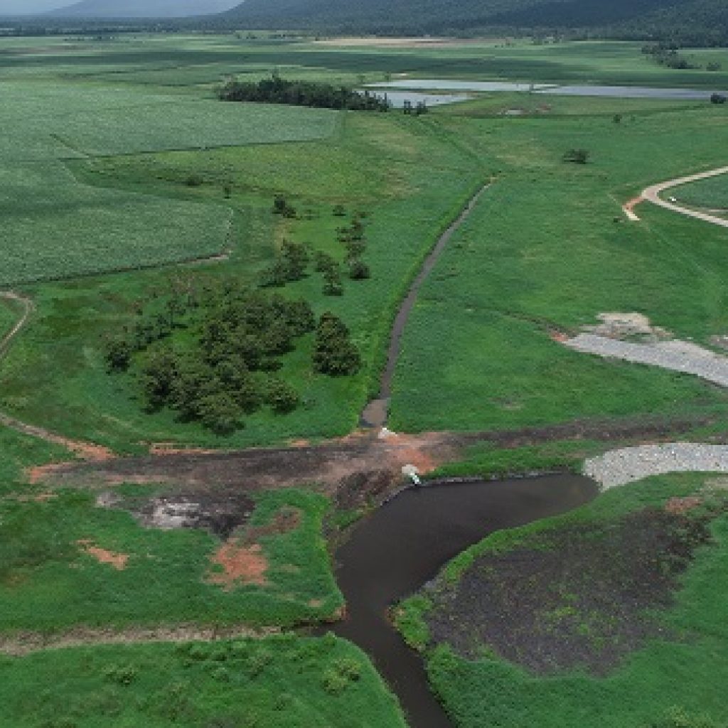 Constructed wetlands