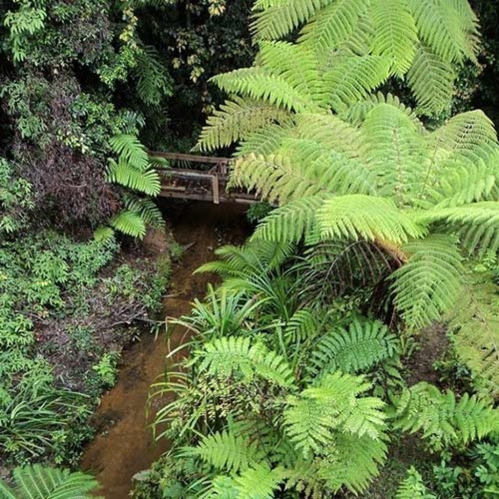 Four new nature refuges