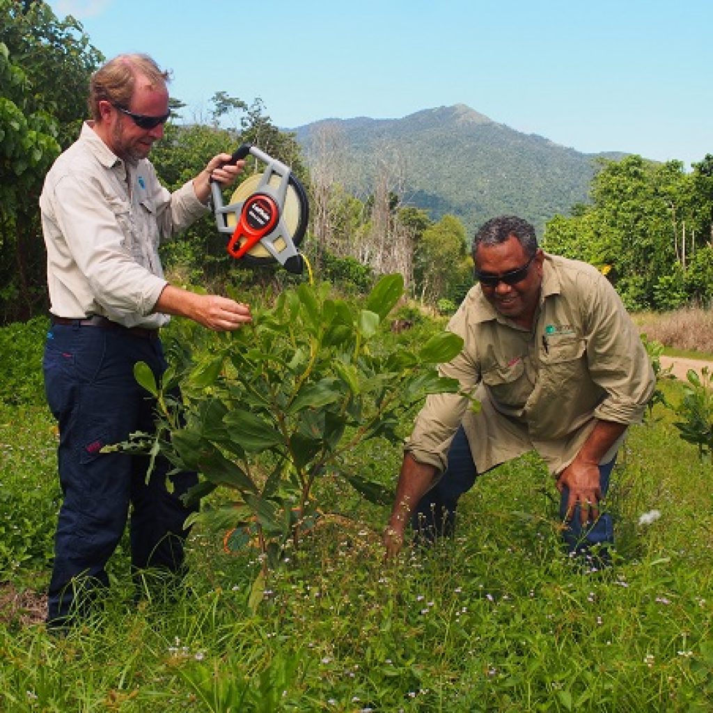 Making rainforest more resilient