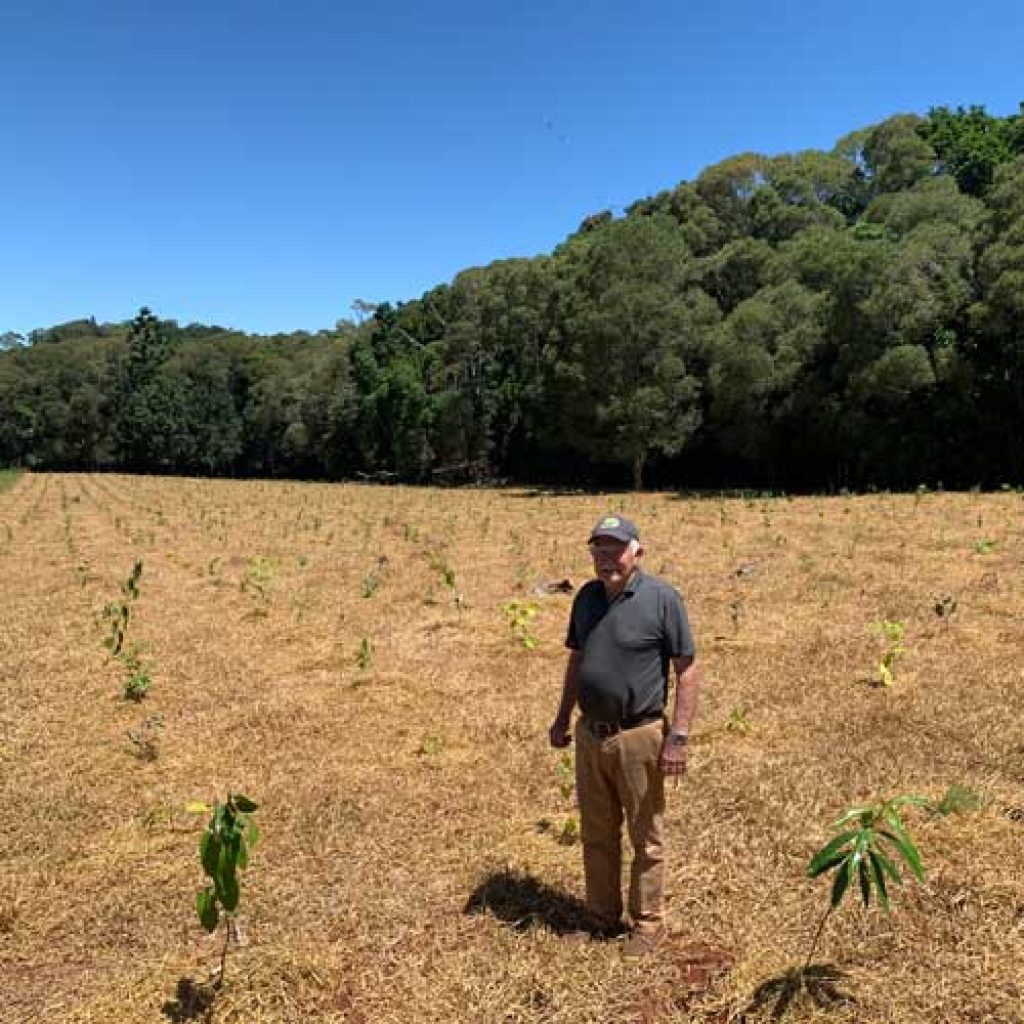 Green Highways Help Connect National Parks
