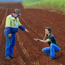 soil health