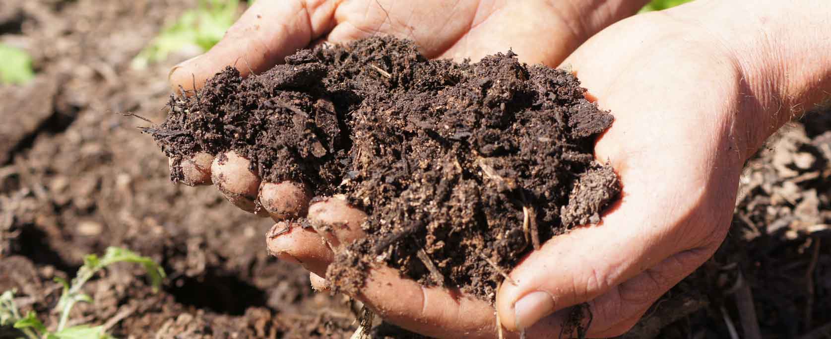 taking a look at soil structure