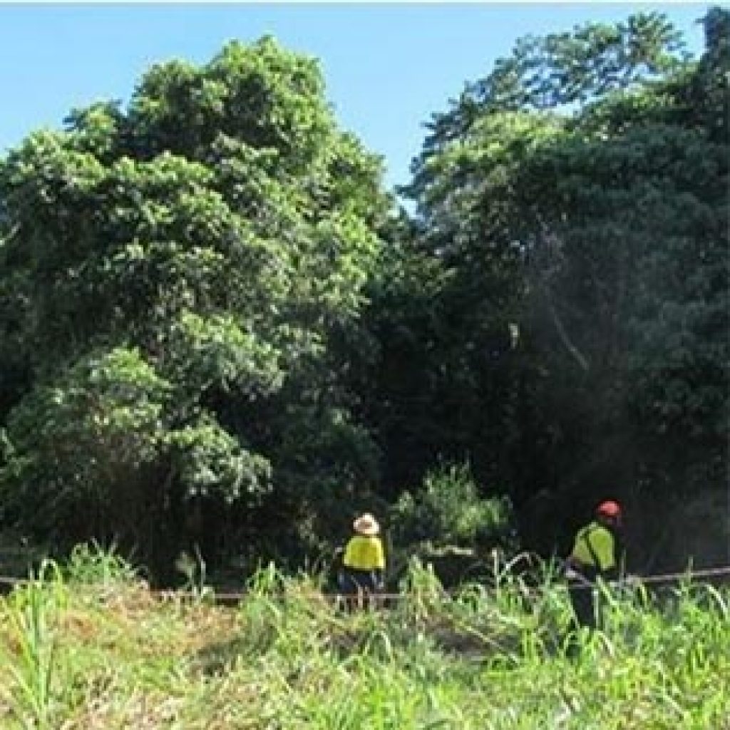 Trinity Inlet catchment carers