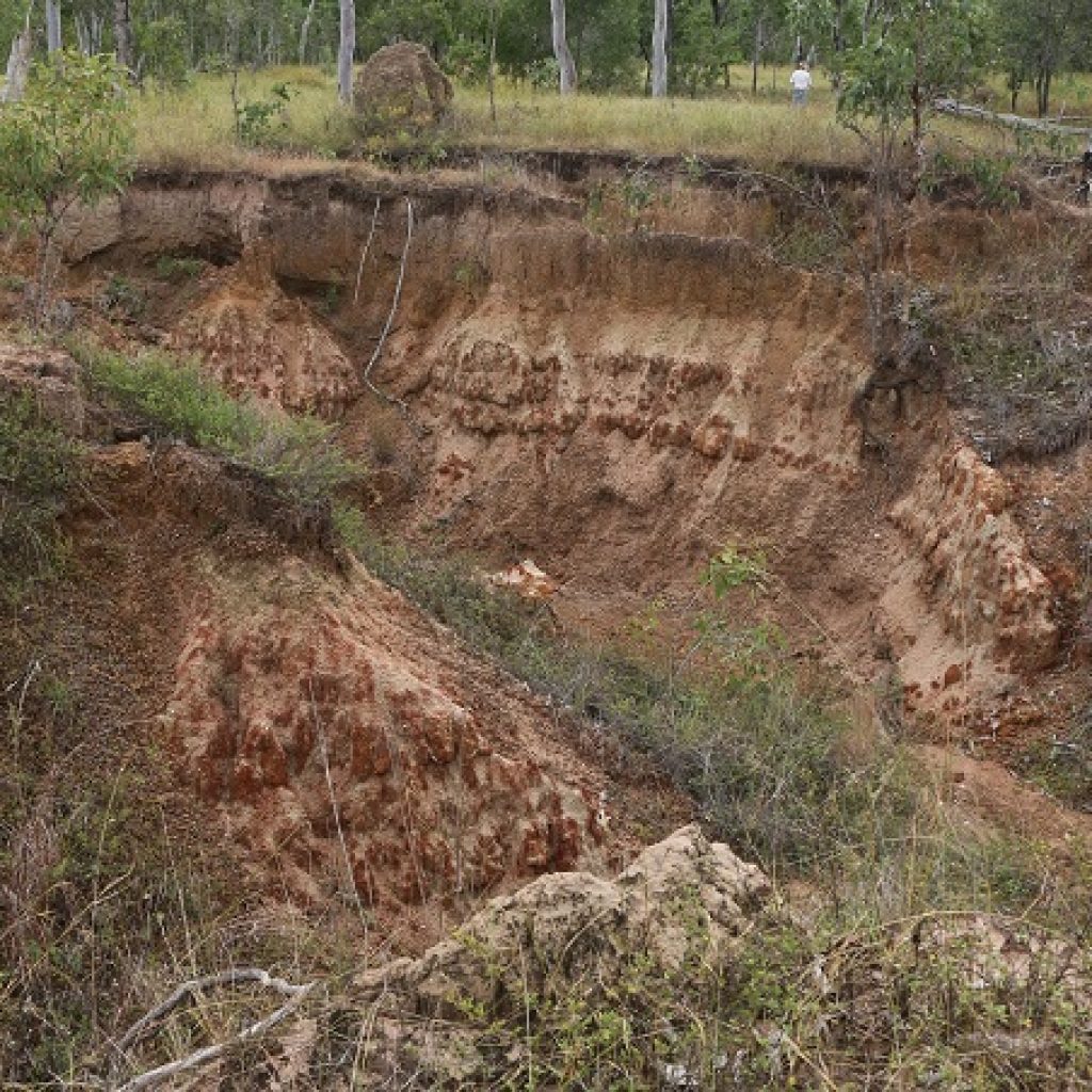 New $3.2 million sediment reduction project