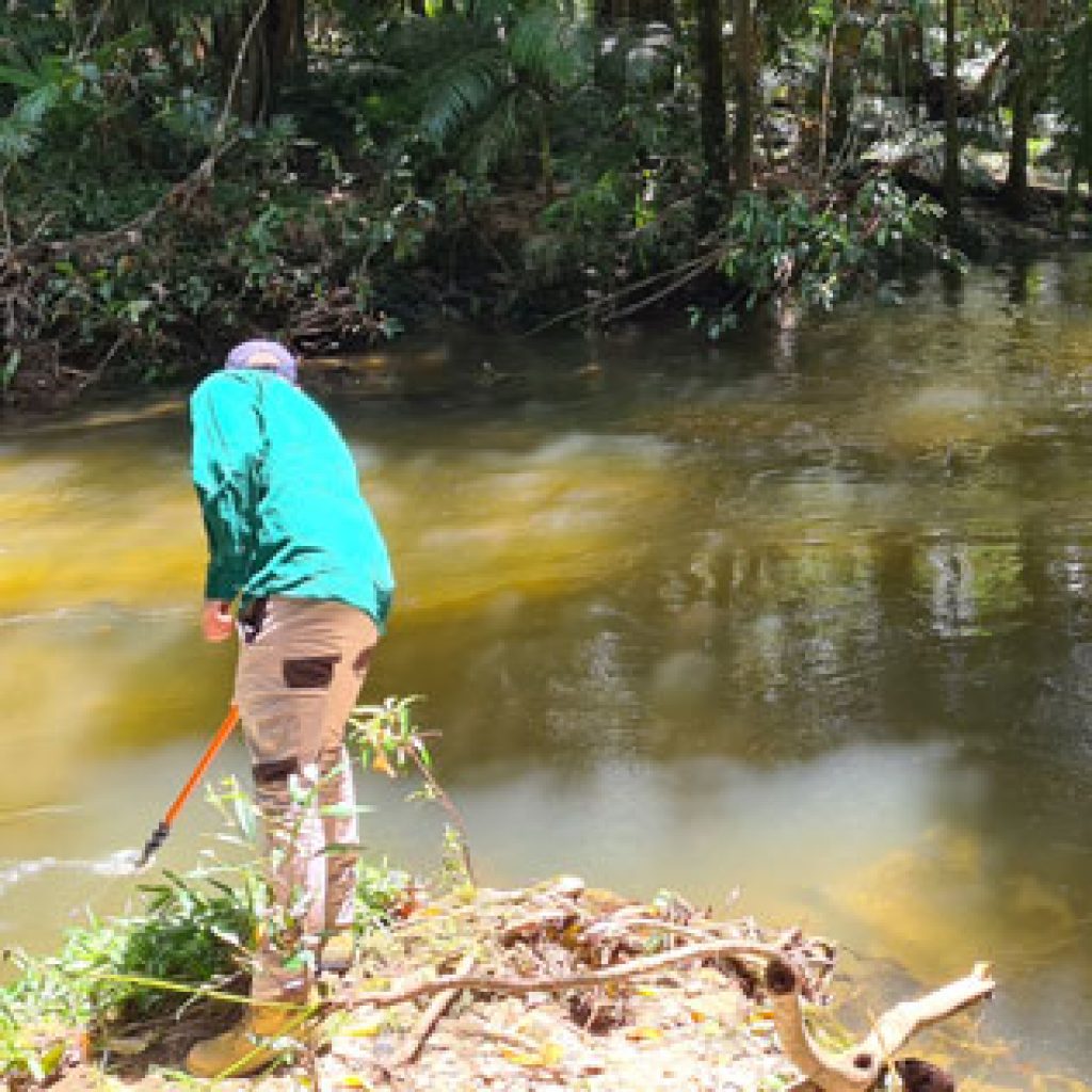 The little catchment that could