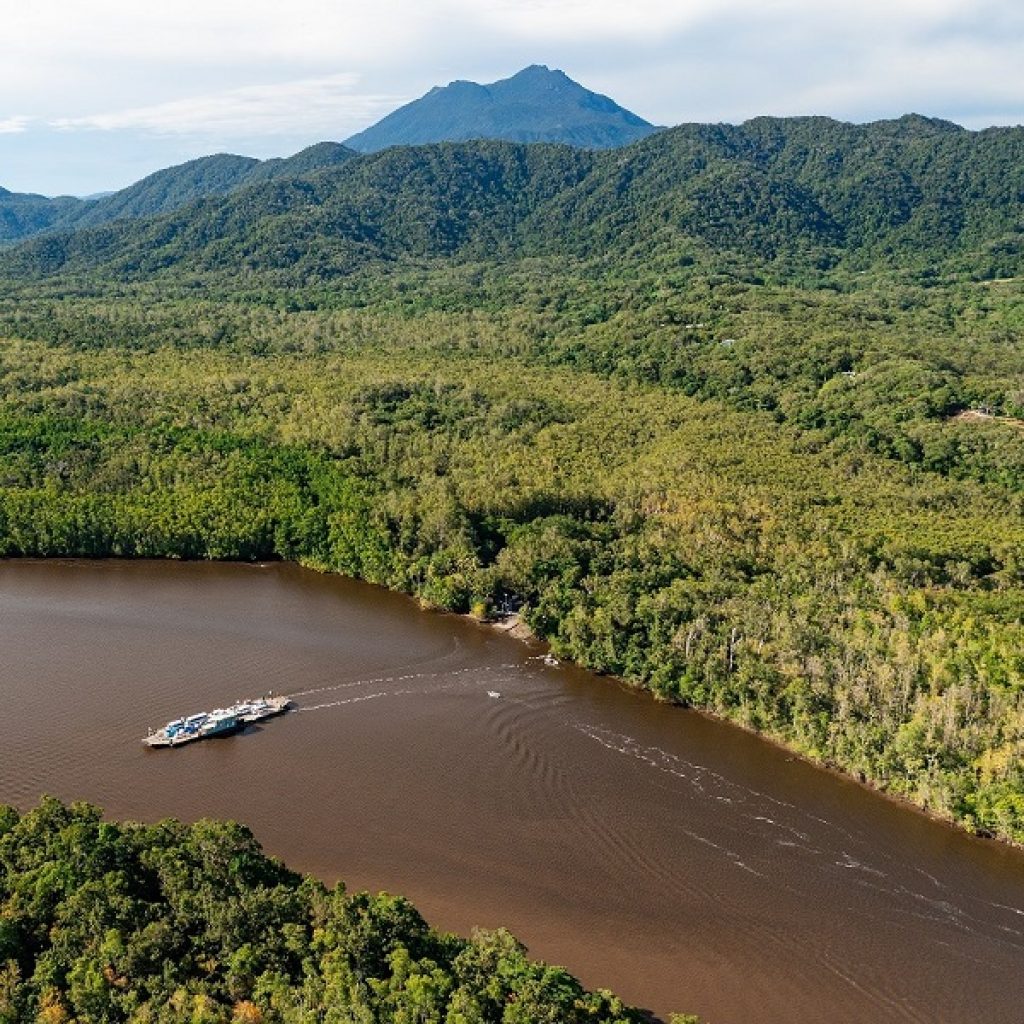 Restoring Daintree wetlands