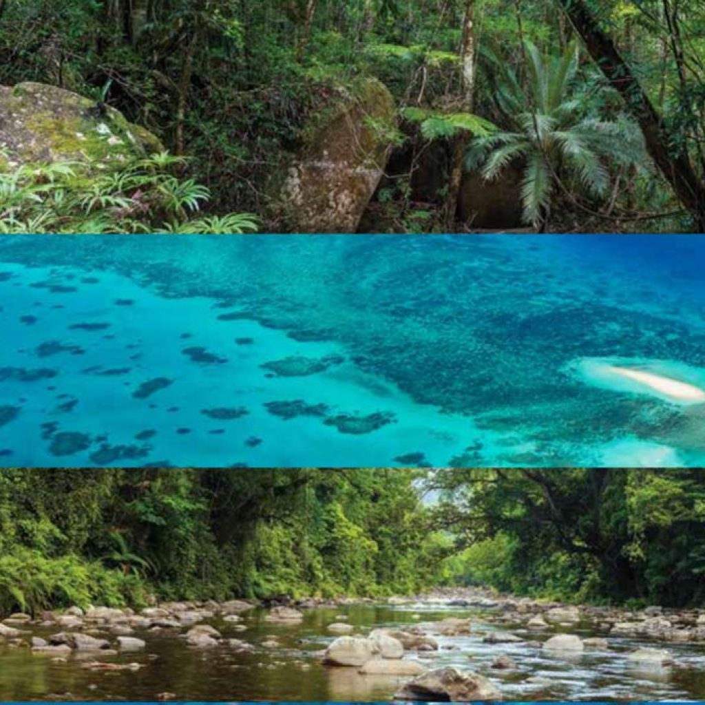 Green and Blue Stimulus Package
