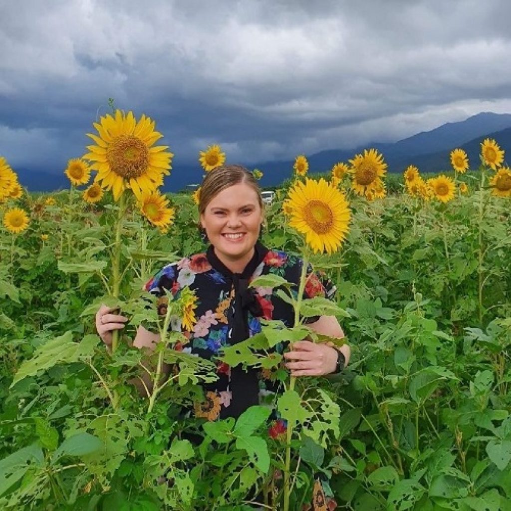 Sunflowers as Fallow Crops