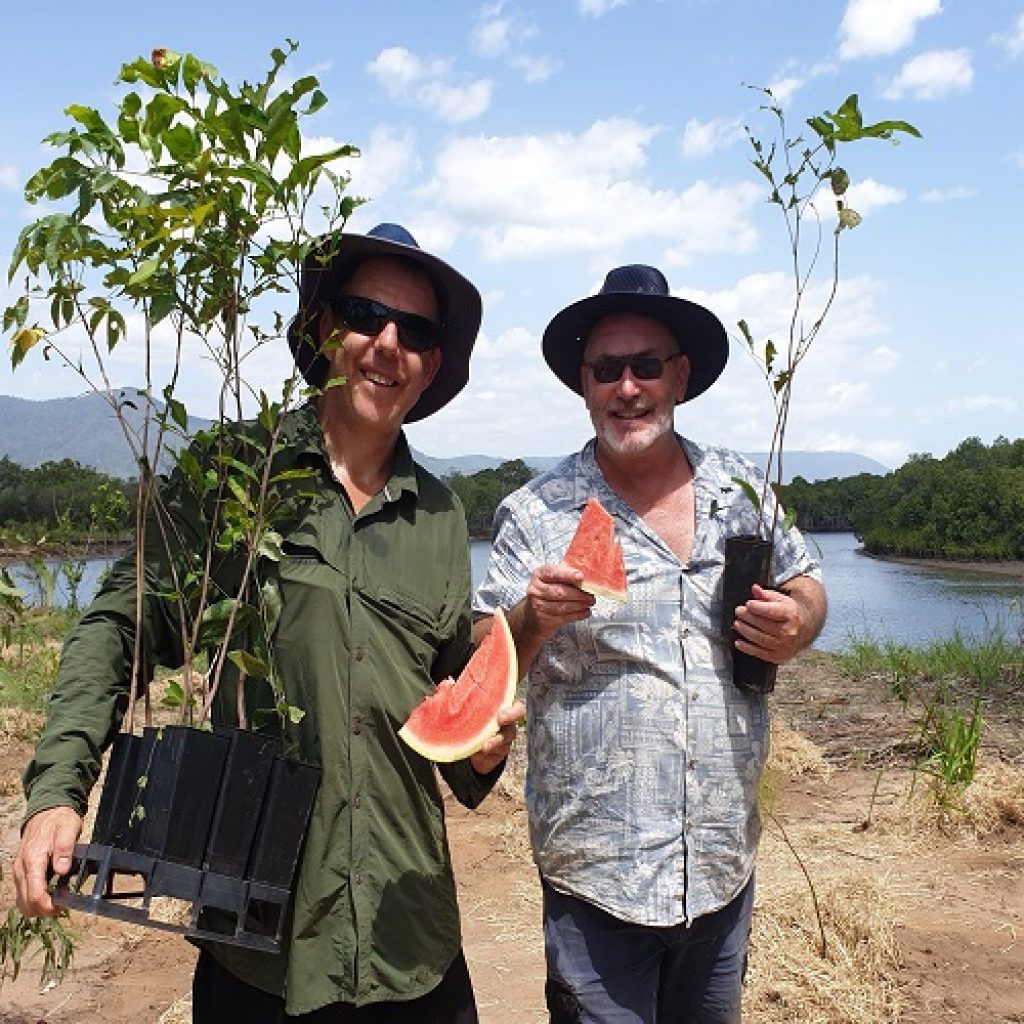 Greening Thomatis Creek