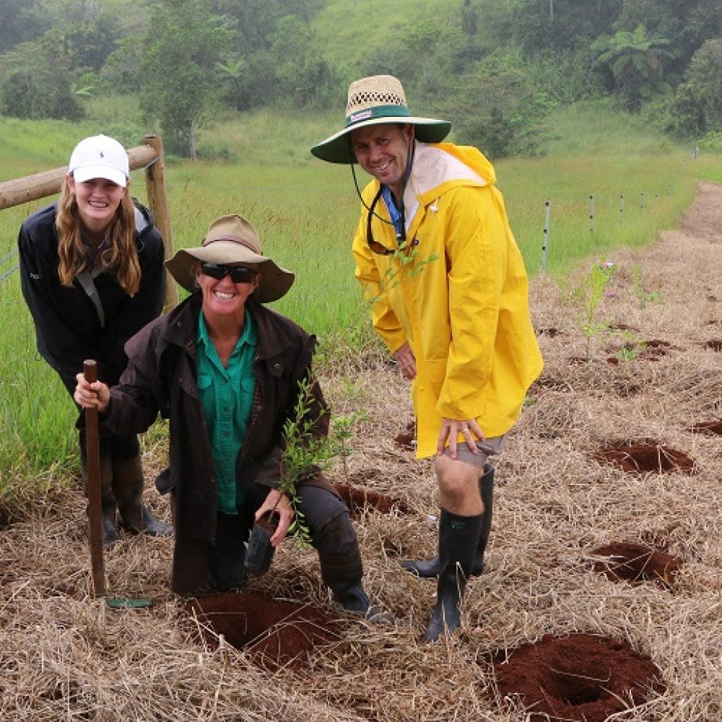 Tackling Erosion with Trees