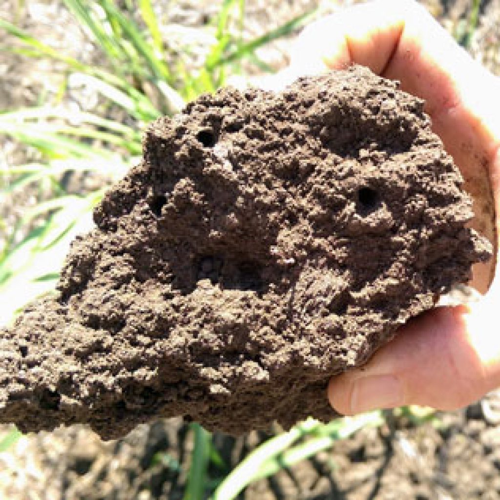 Soil structure