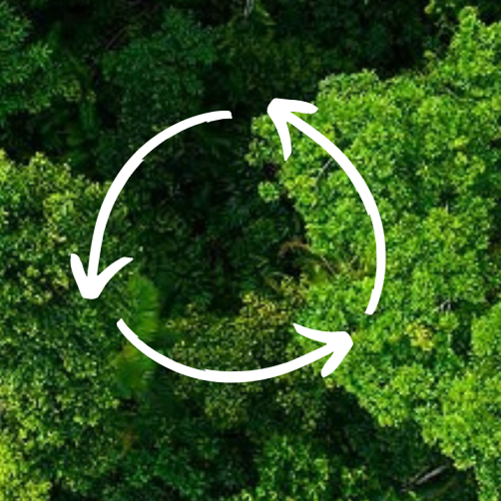 Moving to a Circular Economy