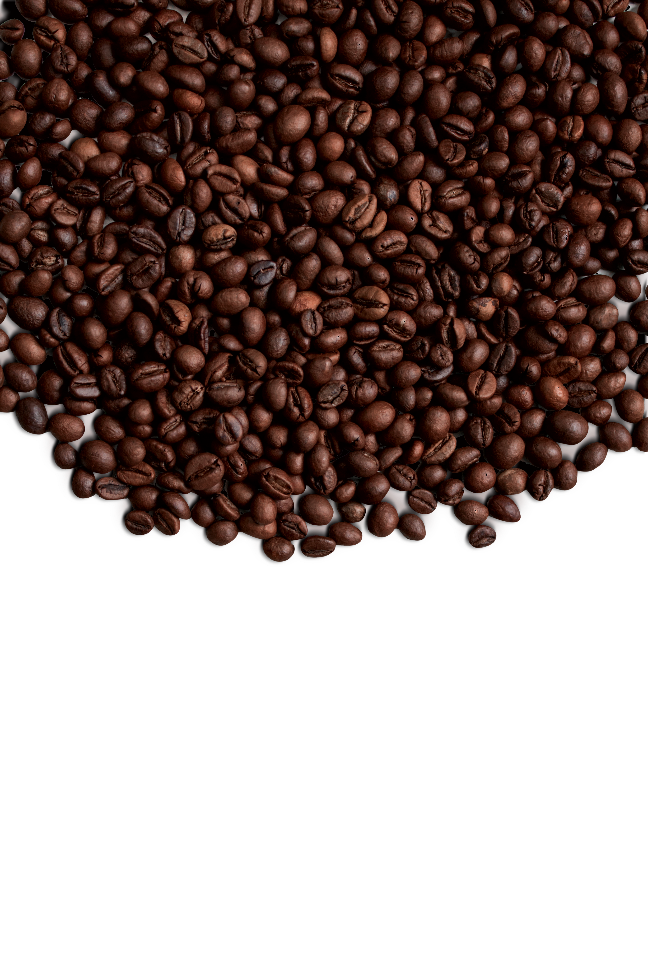 Image of coffee-beans